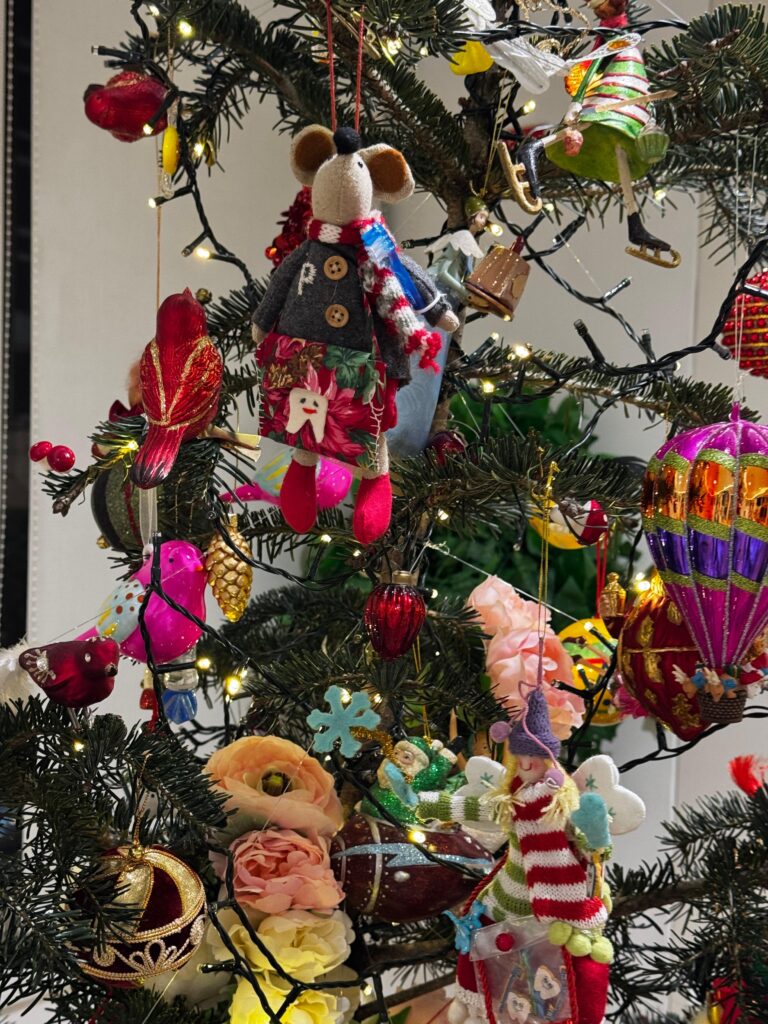 WhatsApp Image 2025 12 02 at 11.35.25